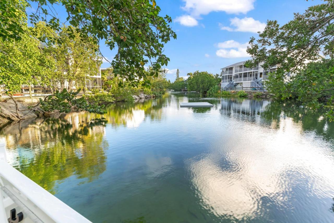 Voted Key Largo'S #1 Destination, Pool, Marina, Kayaks, Tennis, Pickle Ball Esterno foto