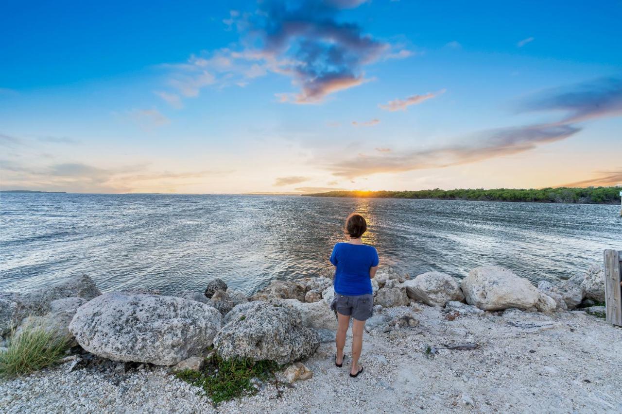 Voted Key Largo'S #1 Destination, Pool, Marina, Kayaks, Tennis, Pickle Ball Esterno foto